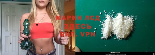 spice Ельня