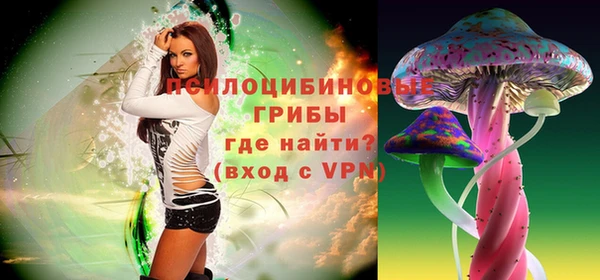 метадон Елизово