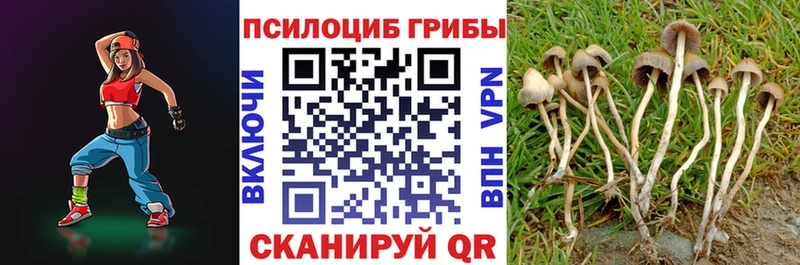 Псилоцибиновые грибы мухоморы Плёс