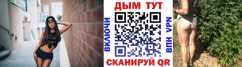 Бошки марихуана Bruce Banner  Купить закладки  Плёс 